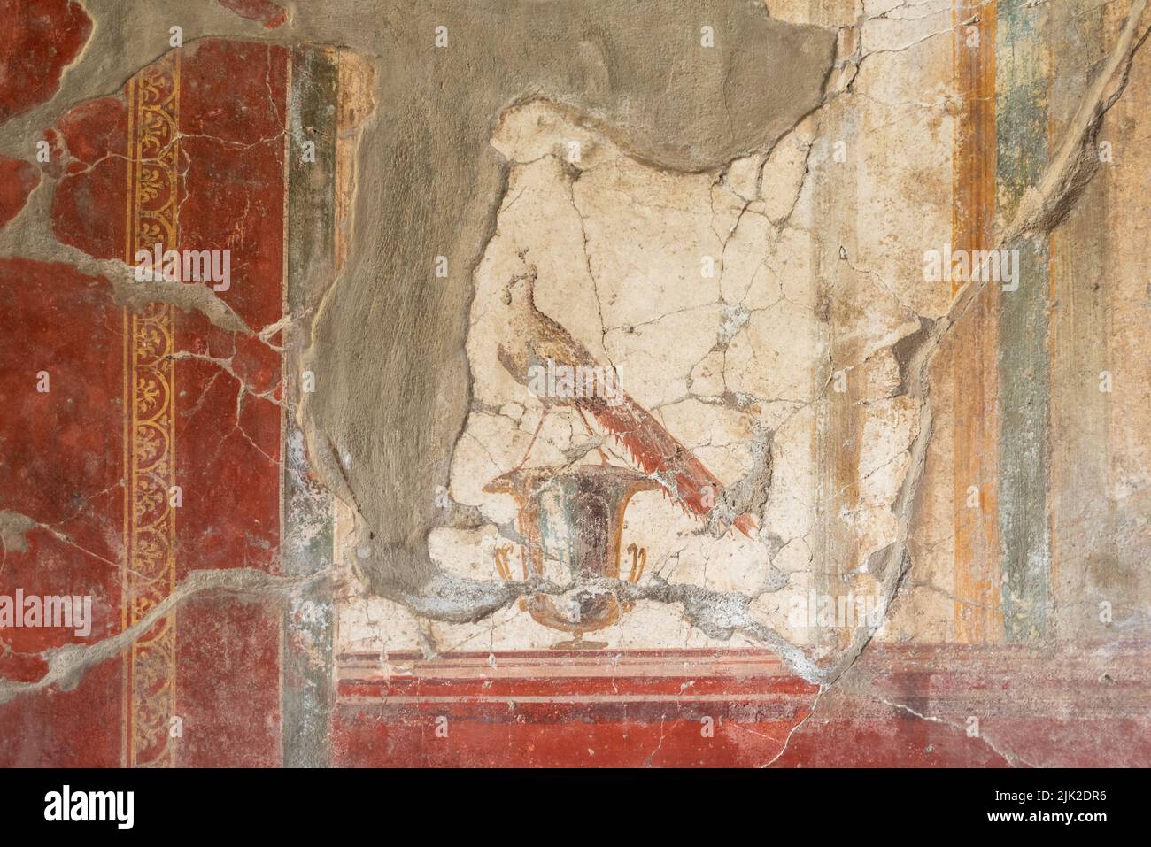 OPLONTIS, ITALY - MAY 03, 2022 - Beautiful colorful fresco showing a peacock in the Villa Oplontis Stock Photo