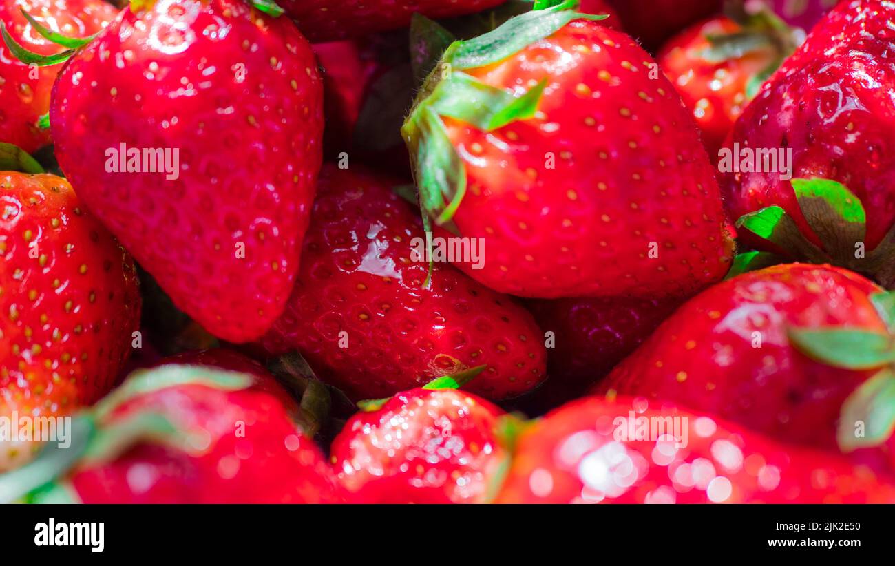 many red ripe strawberries with green stalks - background Stock Photo ...