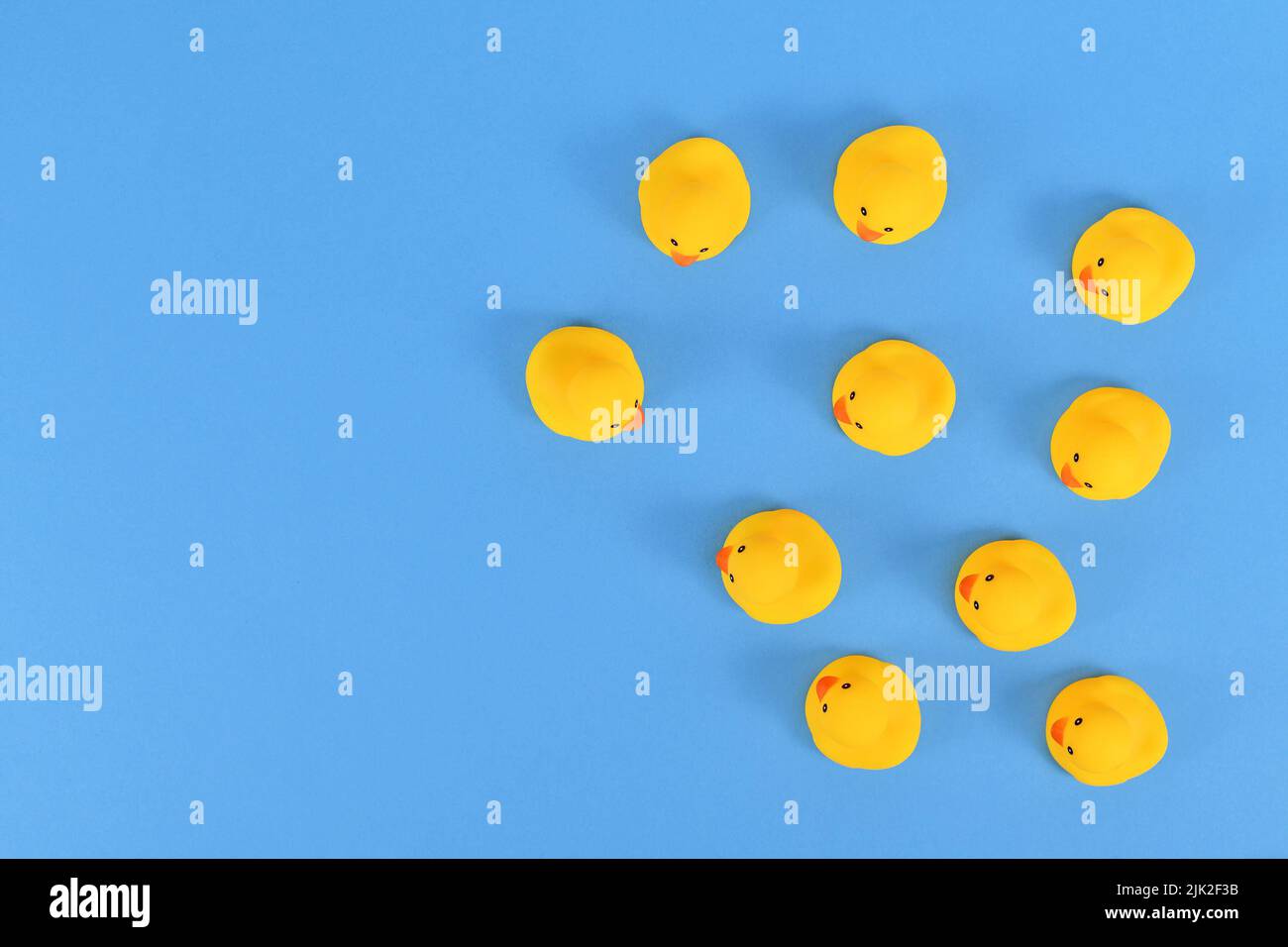 Top view of many yellow rubber ducks on blue background with copy space Stock Photo