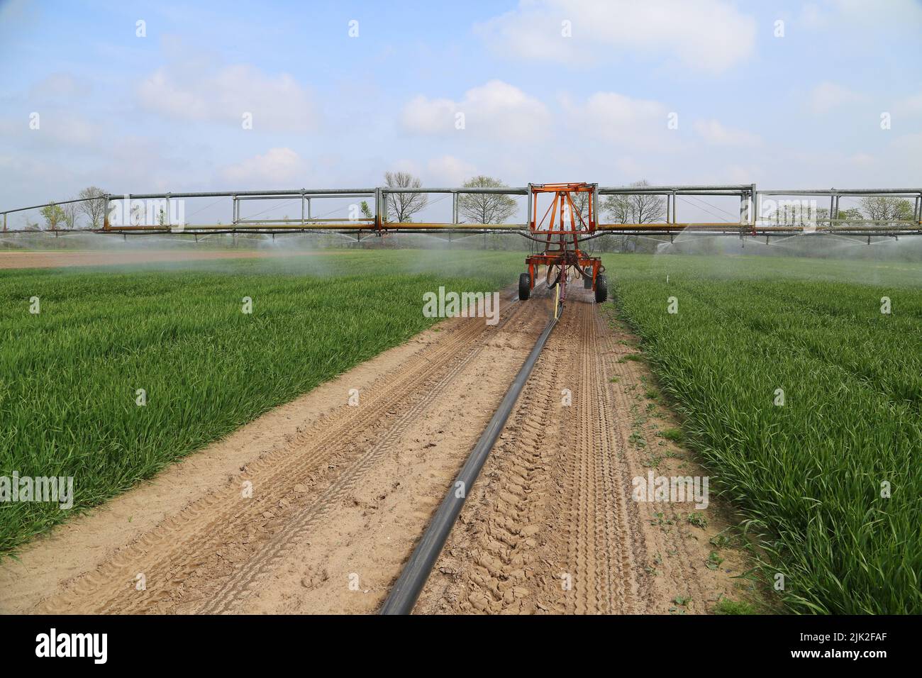 irrigation of fields with a sprinkler Stock Photo