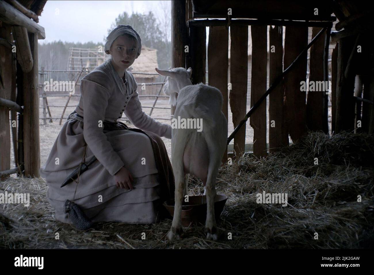 ANYA TAYLOR-JOY, THE WITCH, 2015 Stock Photo - Alamy