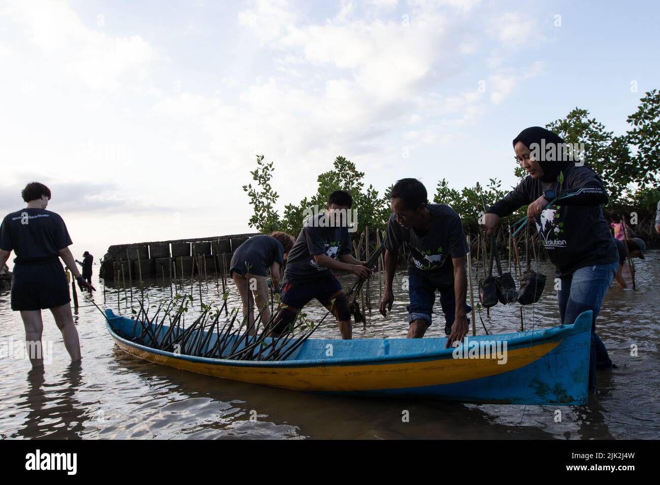 Kendari, Southeast Sulwesi, Indonesia. 29th July, 2022. Members of NatureVolution of Indonesia planted 1,500 mangrove trees on the Tolitoli Coast in Wawobungi Village, Lalonggasu Meeto, Konawe, Southeast Sulawesi in the series of World Mangrove Day. This activity was carried out in collaboration between the Tolitoli Giant Clam Conservation Institute and NatureVolution Indonesia. (Credit Image: © Muh Aris/Pacific Press via ZUMA Press Wire) Credit: ZUMA Press, Inc./Alamy Live News Stock Photo