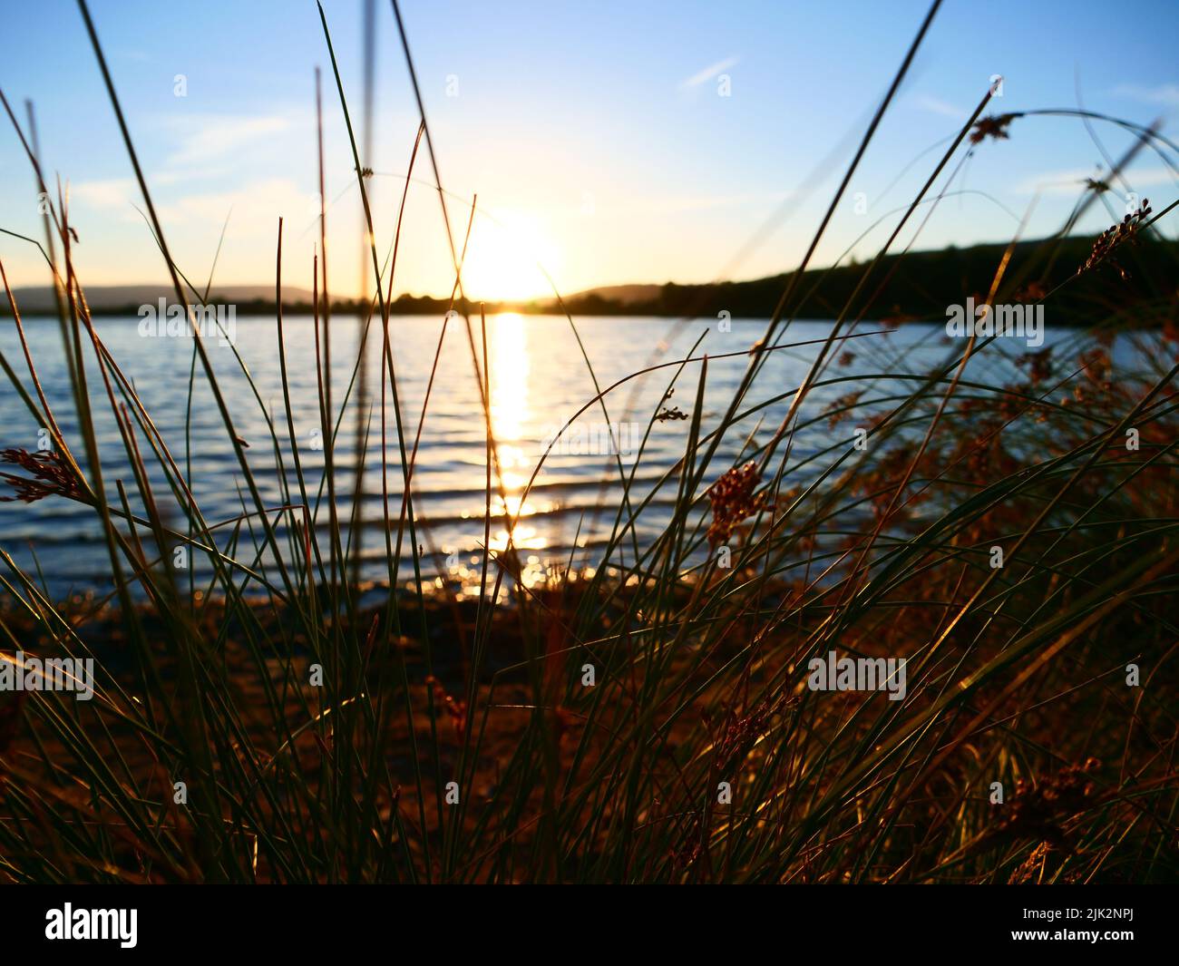 Sun Rising Images – Browse 15,747 Stock Photos, Vectors, and