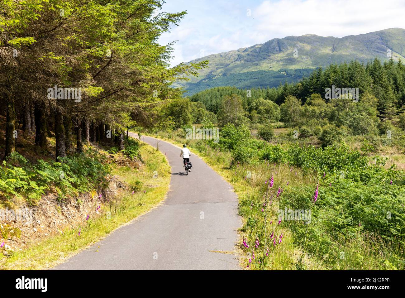 Scotland, woman model released riding bicycle on The Caledonia way national cycling route 78 near Glencoe, Scottish Highlands, sunny day summer 2022 Stock Photo