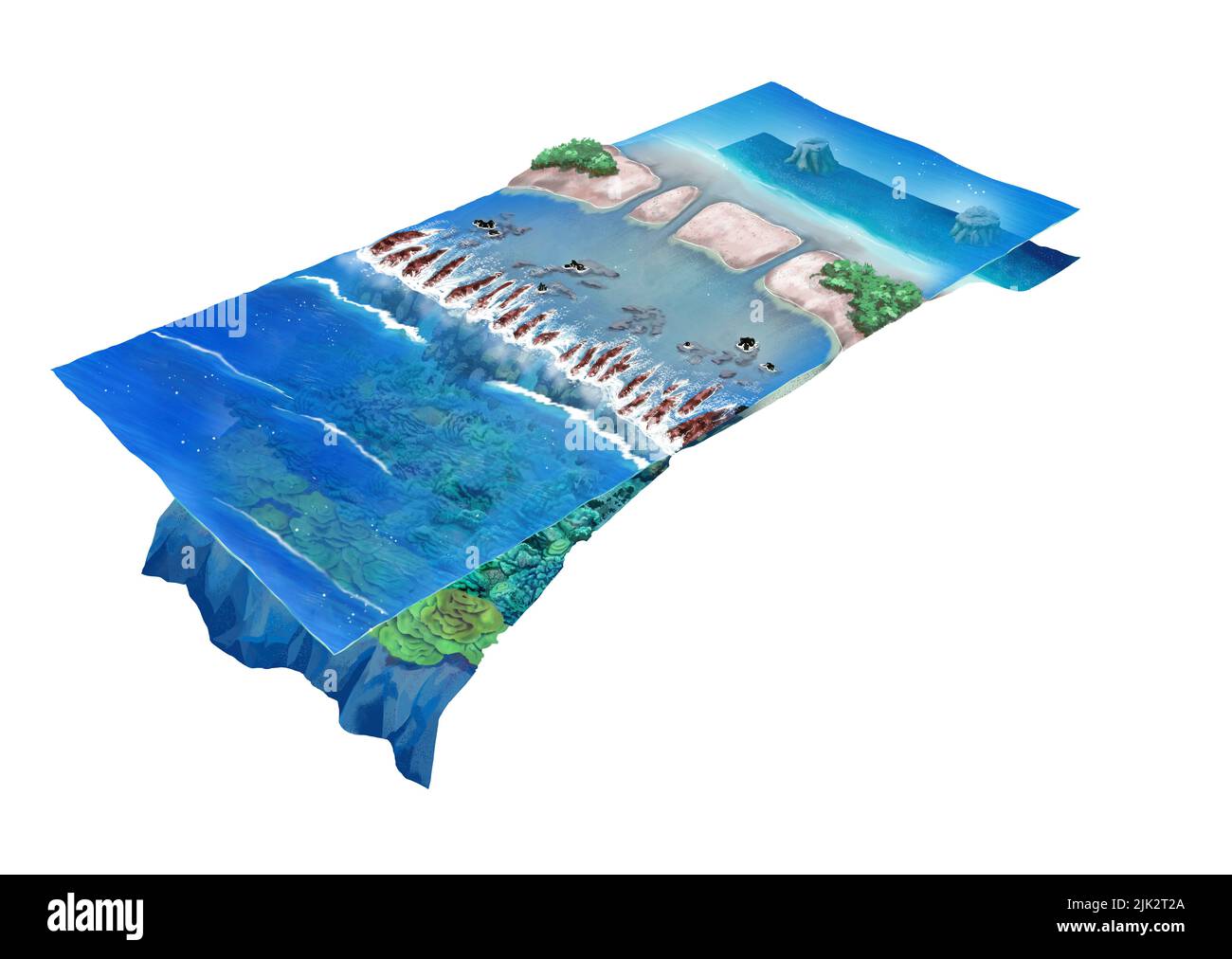 Illustration of a crosssection of an atoll showing deep sea coral