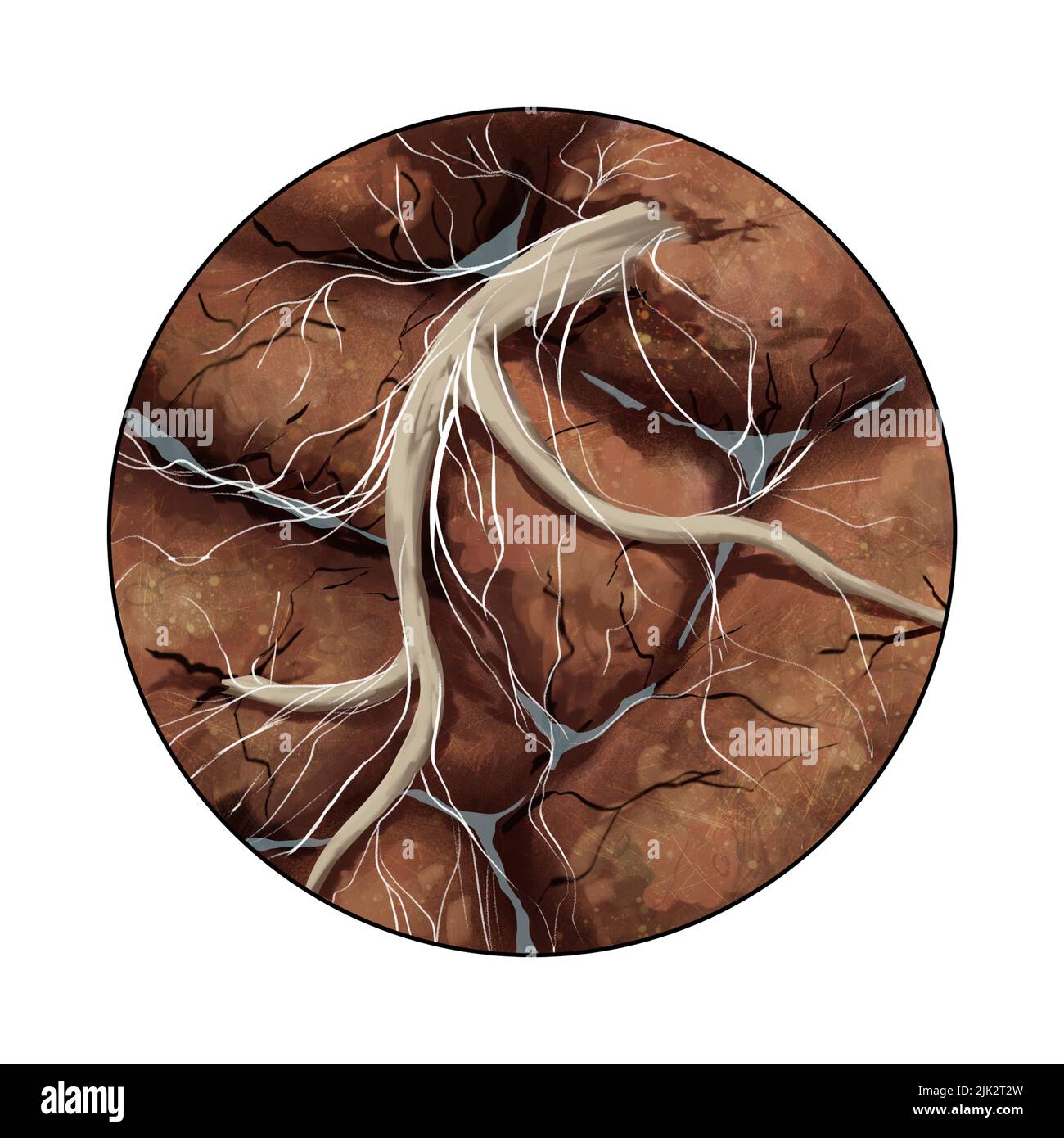 Protruded Roots Illustration showing a close-up of a root protruding through soil ...