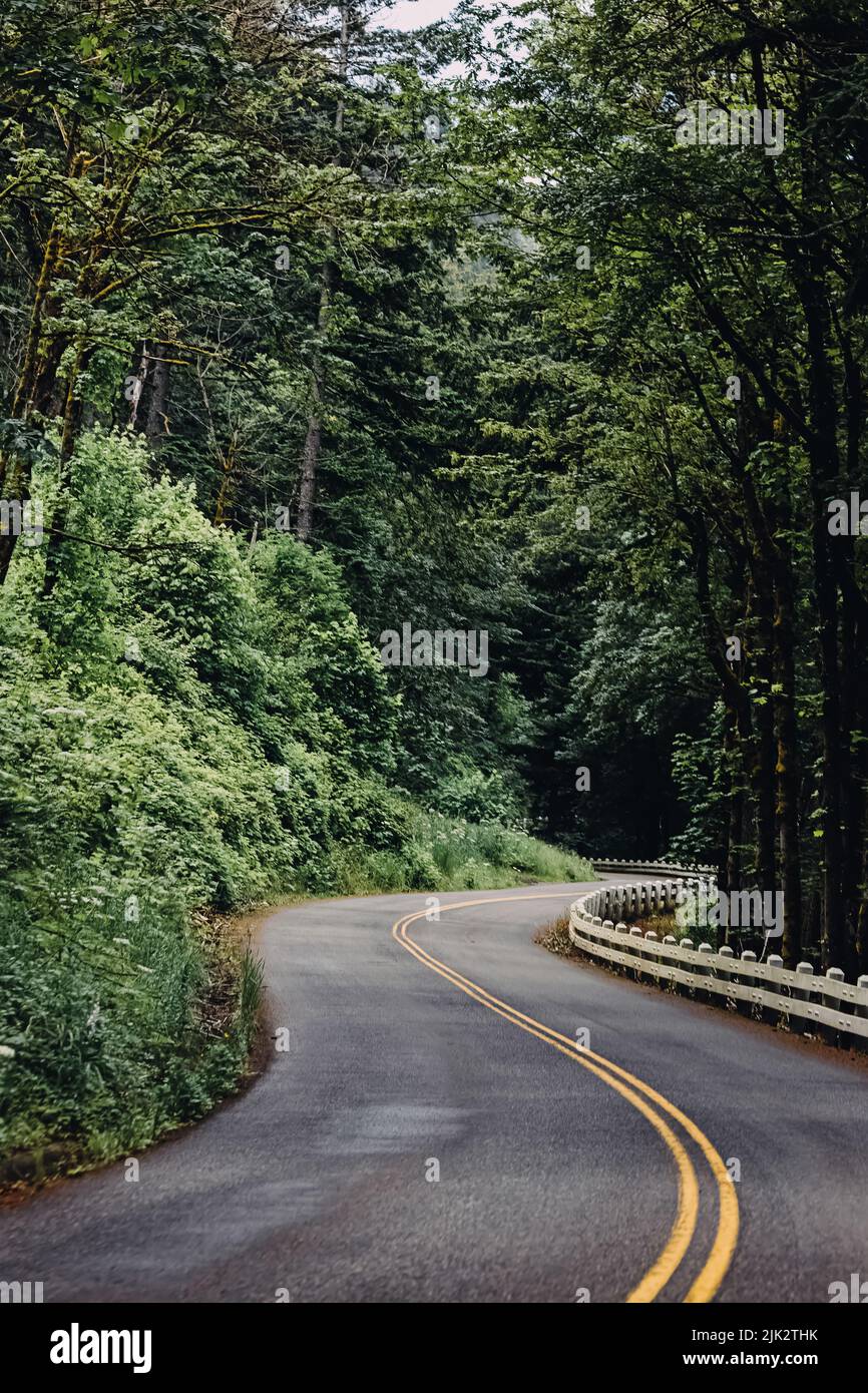 Narrow two lane road through the forest in Oregon, USA Stock Photo Alamy