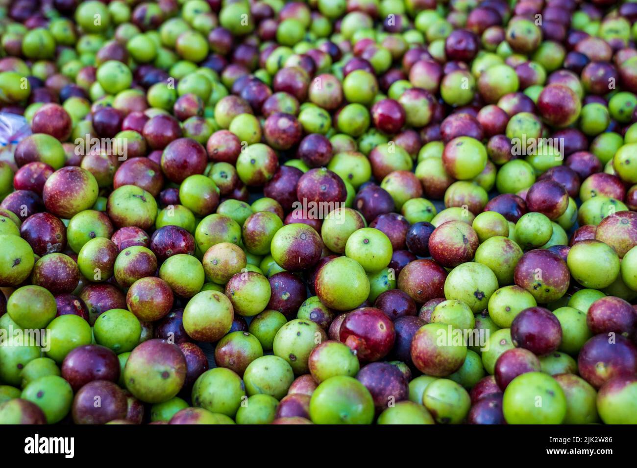 Camu Camu (Myrciaria dubia) for sale at Belen Market in Iquitos, Peru has the highest recorded amount of natural vitamin C on the Planet Stock Photo