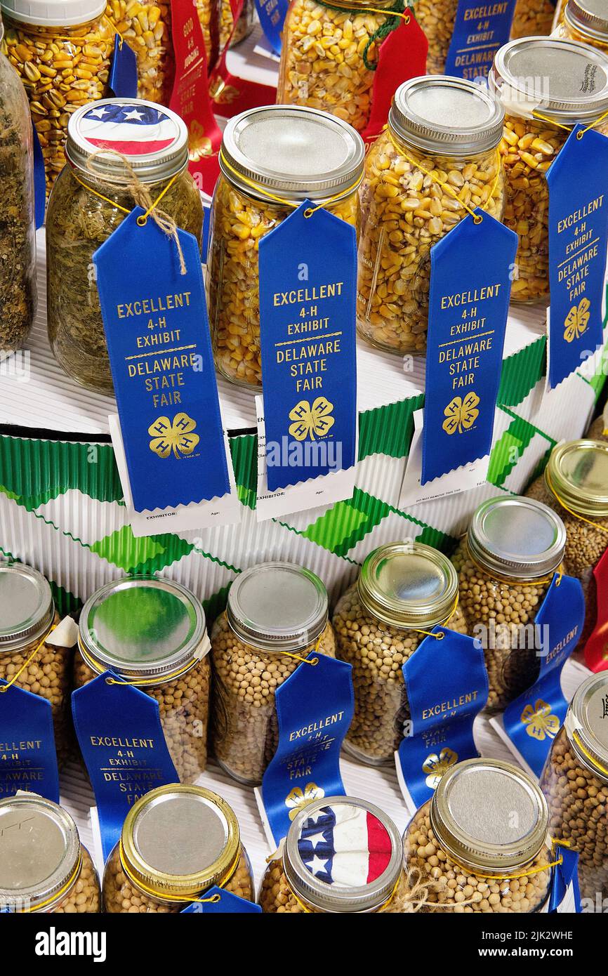 A variety of grains, sealed in glass jars, are awarded blue ribbons of excellence at the Delaware State Fair, Harrington, Delaware USA. Stock Photo