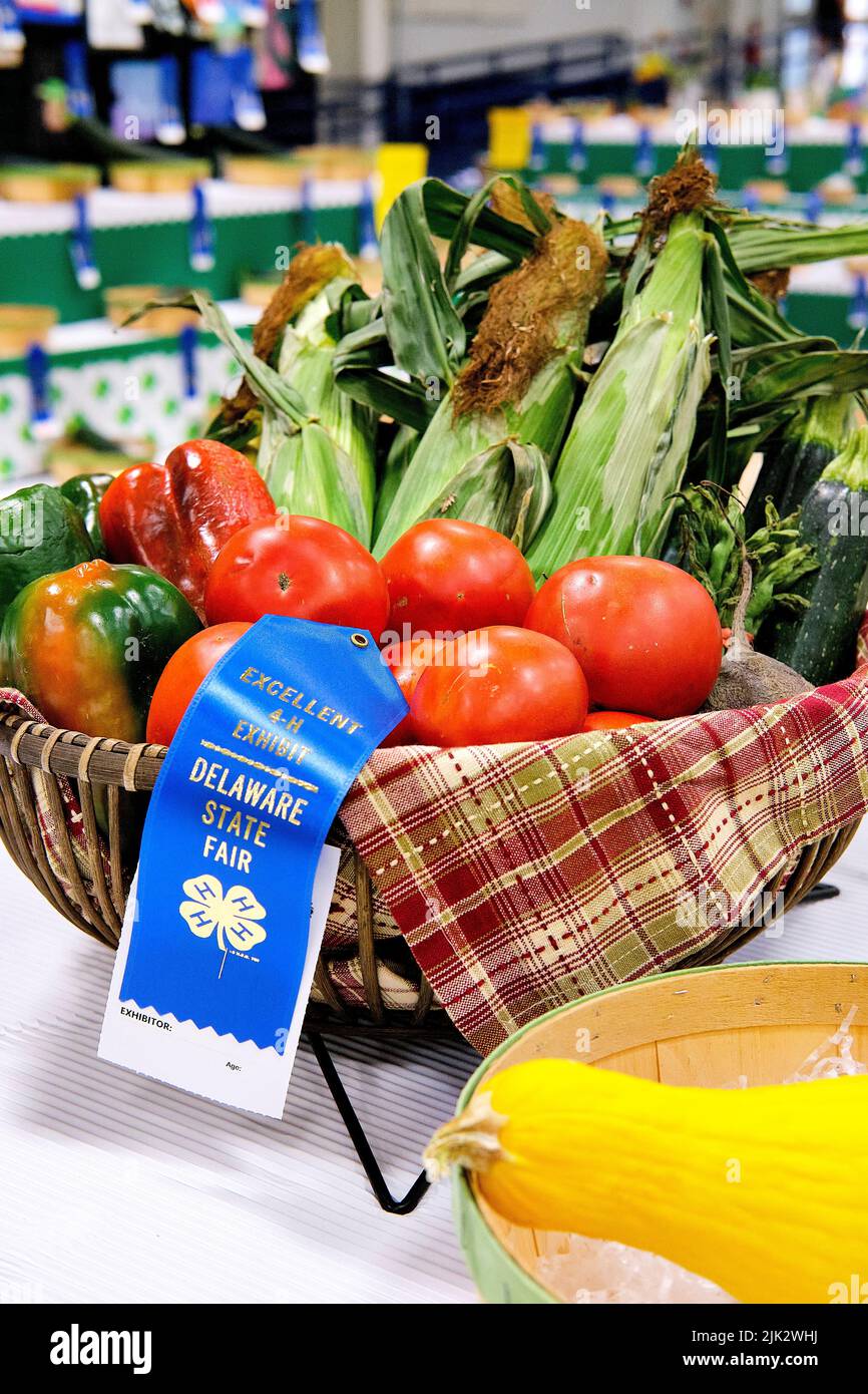 A container of blue ribbon farm fresh tomatoes, bell peppers, eggplant, and corn on display at the Delaware State Fair, Harrington, Delaware USA. Stock Photo