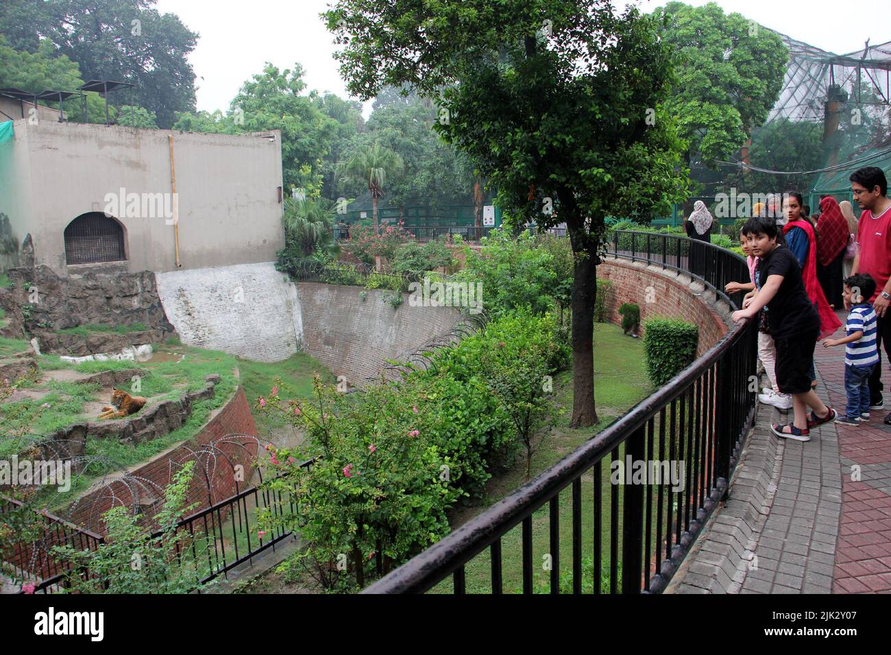 Lahore. 29th July, 2022. People visit a tiger enclosure at a zoo on International Tiger Day in Lahore, Pakistan on July 29, 2022. Credit: Jamil Ahmed/Xinhua/Alamy Live News Stock Photo