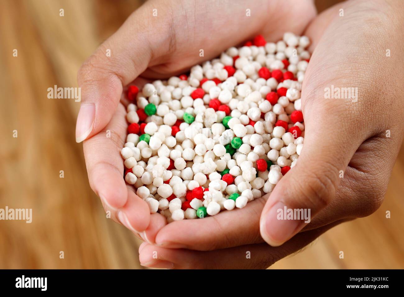 Tapioca Bubble Pearl or Mutiara on the Female Hand, Healthy Snack in