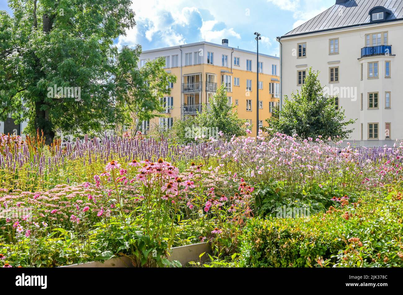 View from city park Hörsalsparken toward residential streets Gamla Rådstugugatan and Prastgatan in the centre of Norrkoping during summer in Sweden. Stock Photo