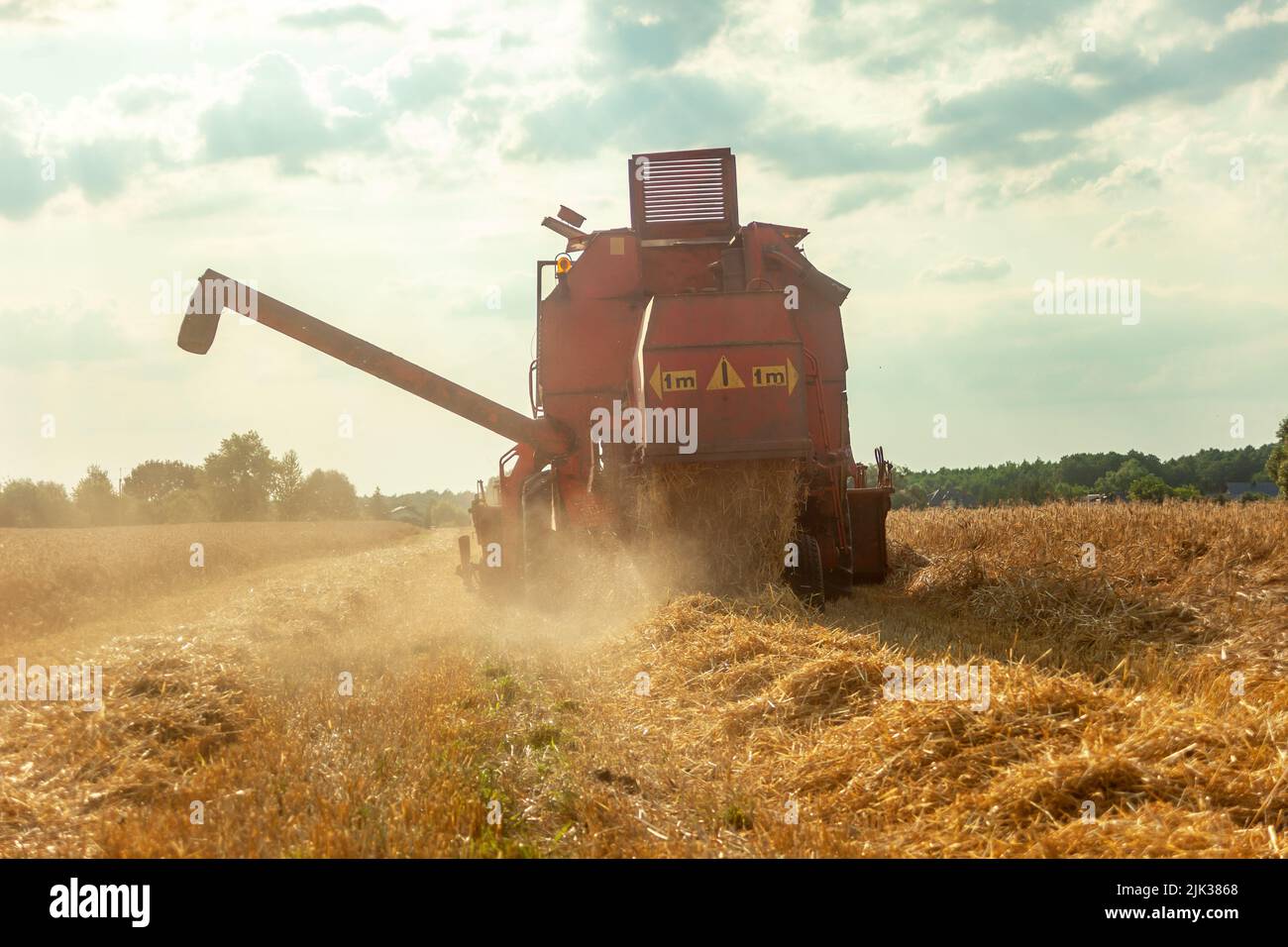 A field with grain and a combine mower in the rising dust, summer rural view Stock Photo
