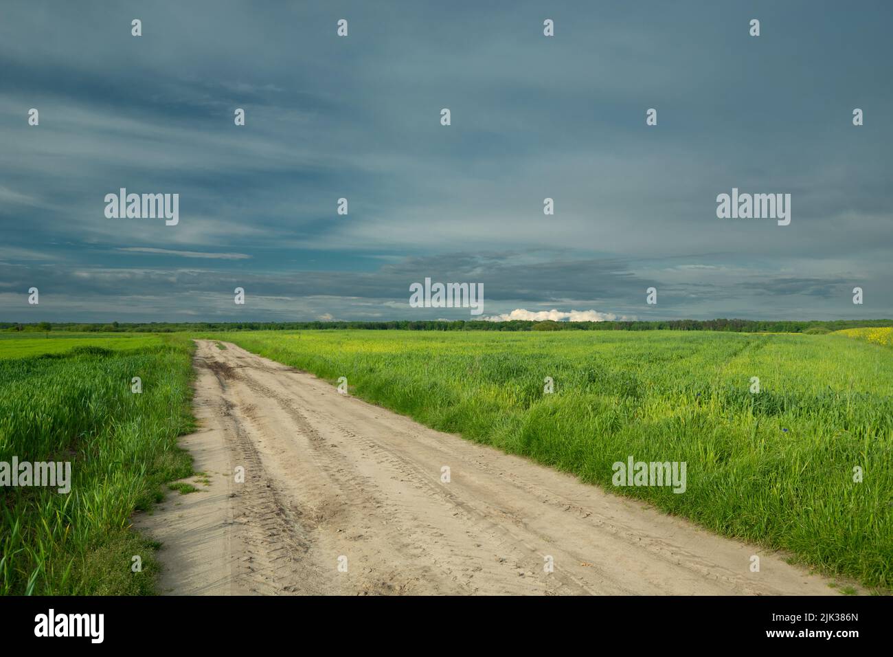 Sandy road through green fields and cloudy sky Stock Photo