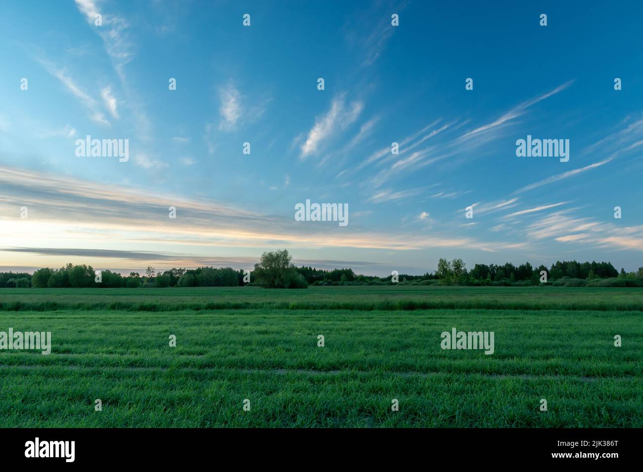 Abstract clouds after sunset over the green field Stock Photo