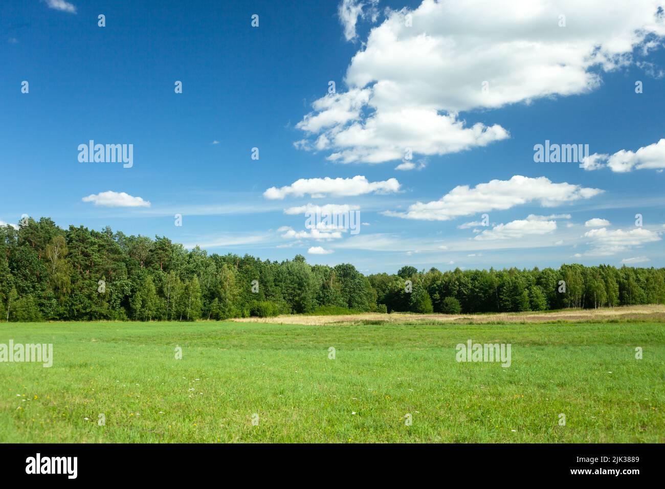 Green meadow in front of a forest and white clouds on a blue sky Stock Photo