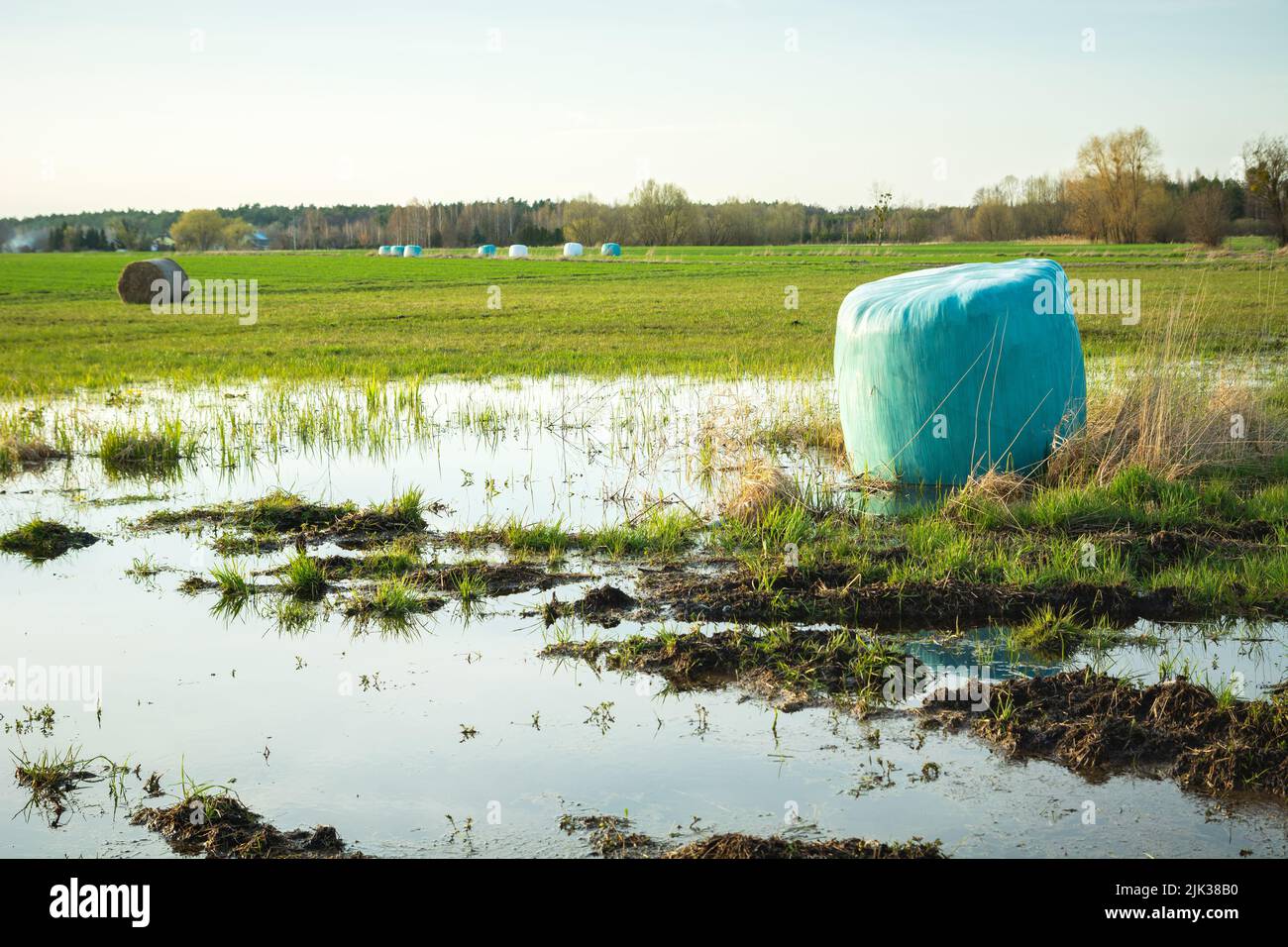 A silage bale lying in a meadow in the water Stock Photo