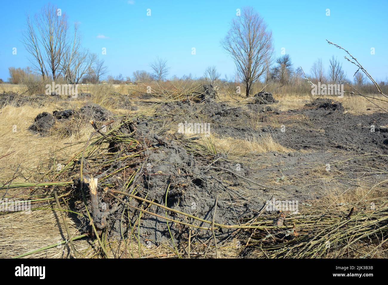 Drought and farming. Grubbed out, cut and cleared trees, shrubs and stumps with a bulldozer, crawler on a dry swamp to increase cultivated field area. Stock Photo