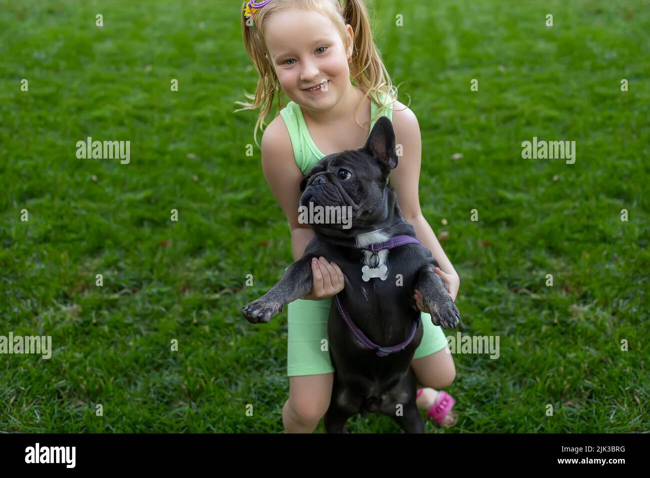 little girl in the park trying to pick up a french bulldog Stock Photo