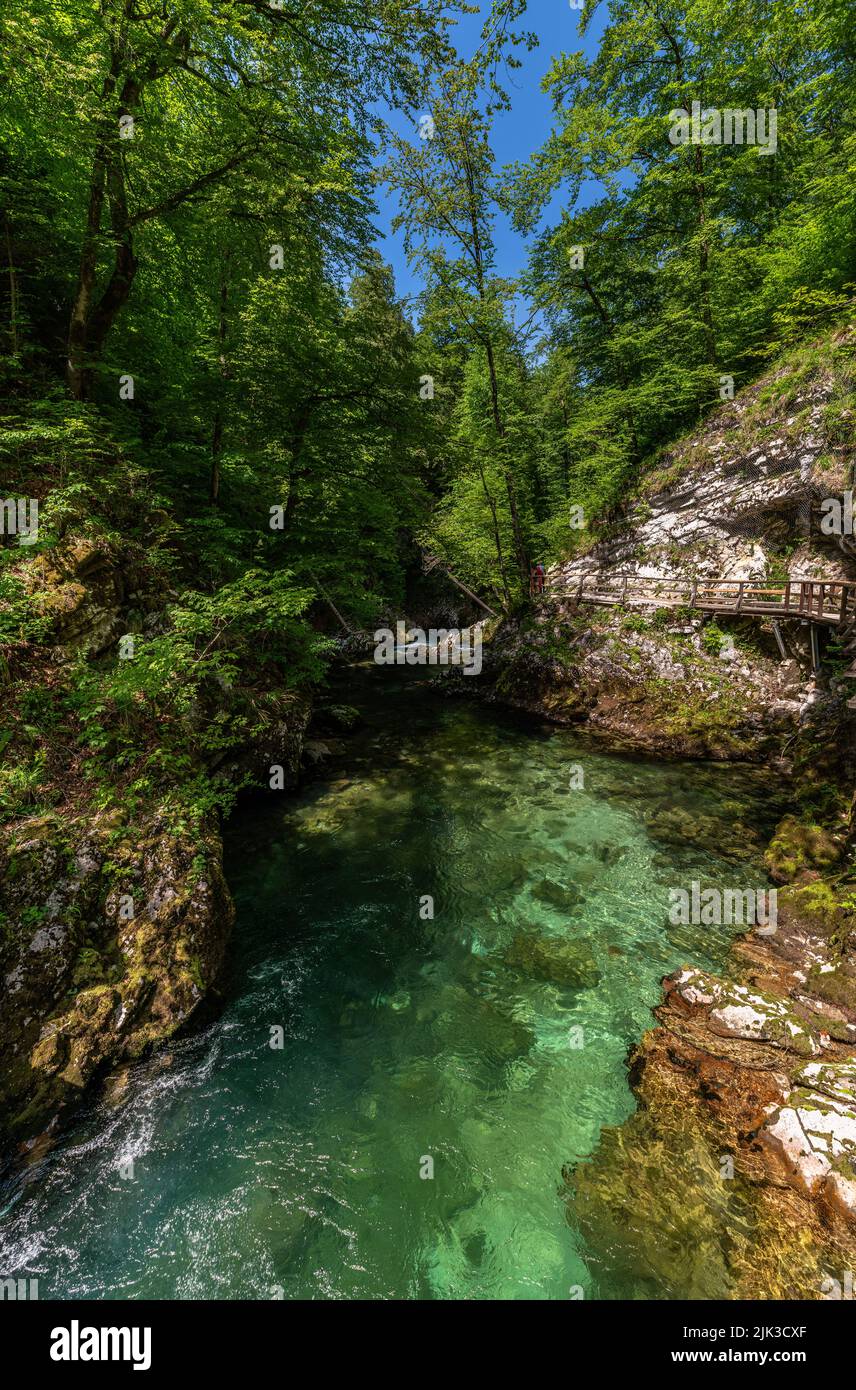 Beautiful view of the turquoise transparent stream water in Vintgar Gorge near Lake Bled in summer, Upper Carniola, Slovenia Stock Photo