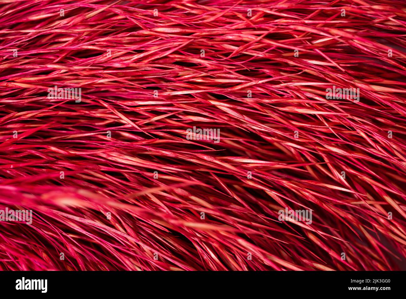Macro Photography of red colored dry straw pattern. Abstract horizontal stripes texture background. . High quality photo Stock Photo