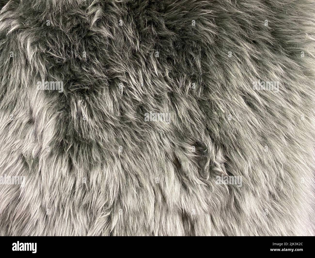 Natural fur. Long hair fur for background or texture. Texture of fluffy