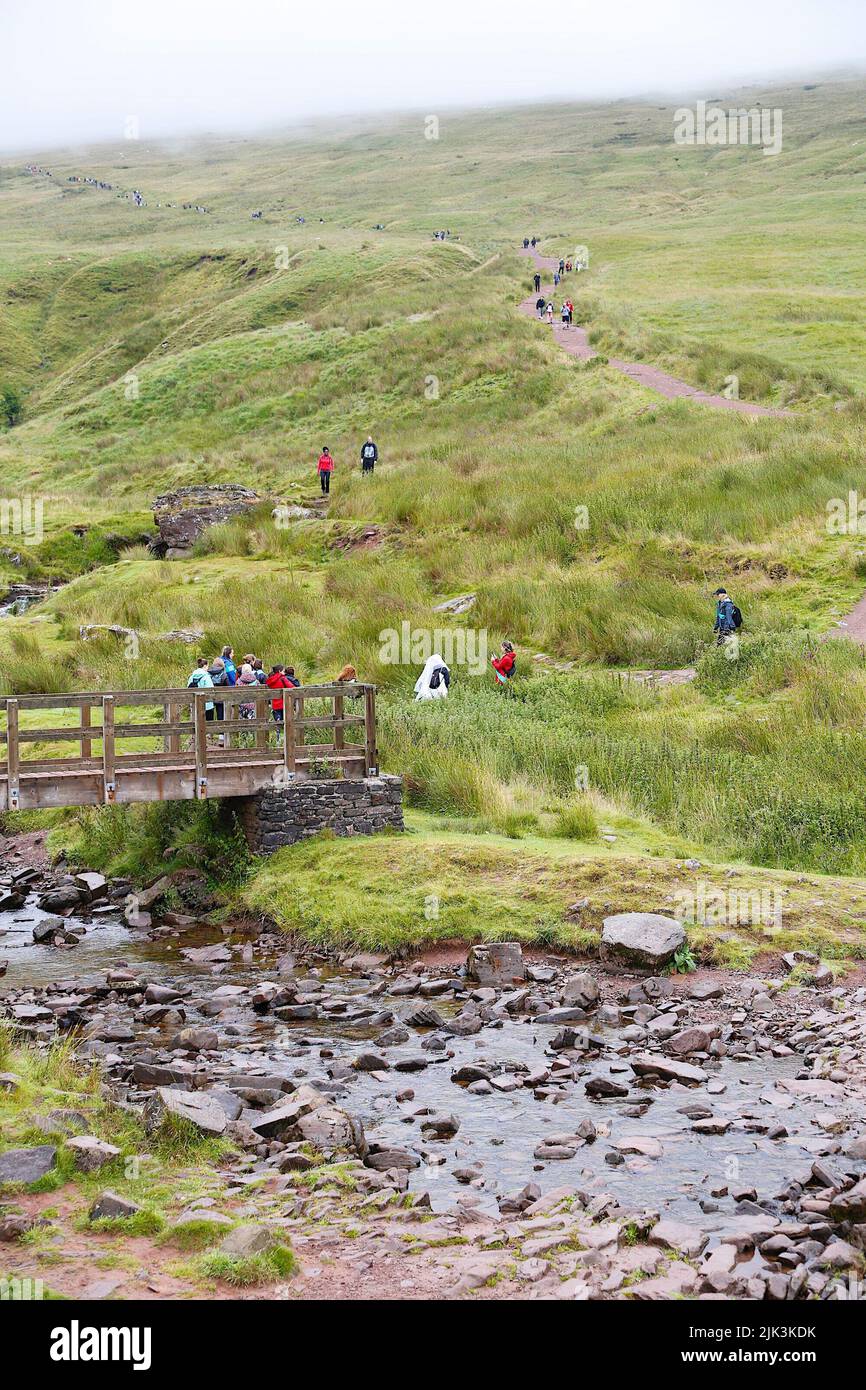 Brecon beacon, Wales, UK. 30 July, 2022. A special weekend of events for this gaggle of hens as they enter the path towards the Pen y Fan, the highest peak in southern Britain. Photo Credit: Paul Lawrenson/Alamy Live News Stock Photo