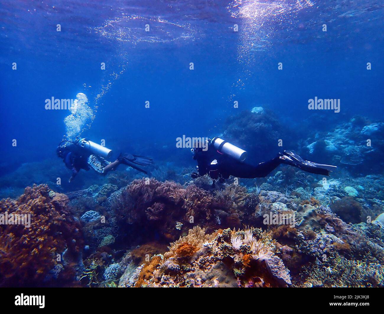 Indonesia Sumbawa - Scuba Diving Stock Photo - Alamy