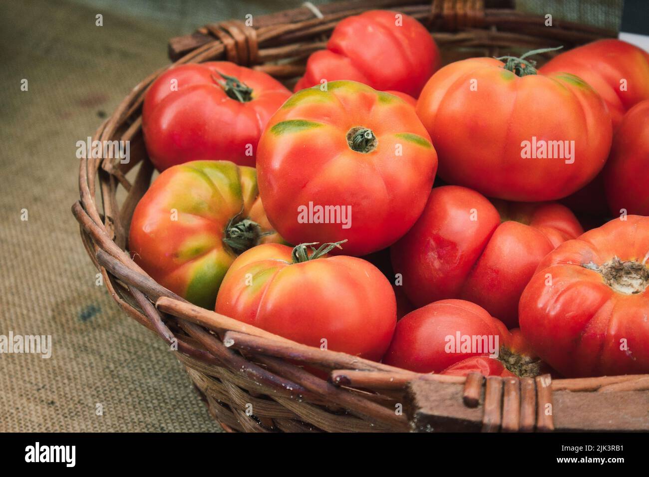A wicker basket fill of red ripe beef tomatoes Stock Photo - Alamy