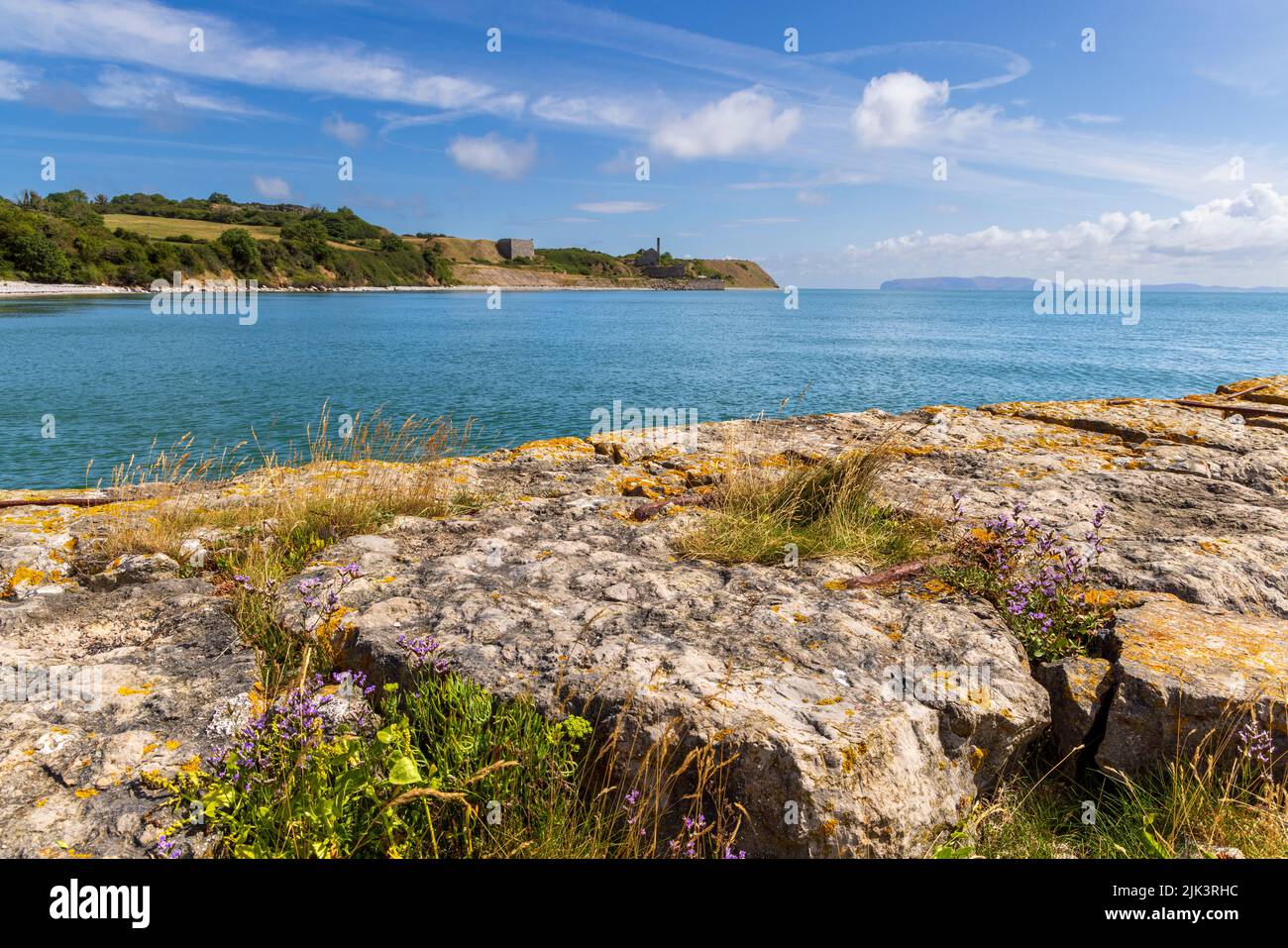 Wildflowers on the old Penmon Quay with Penmon Quarry on the Menai Strait, Isle of Anglesey, North Wales Stock Photo