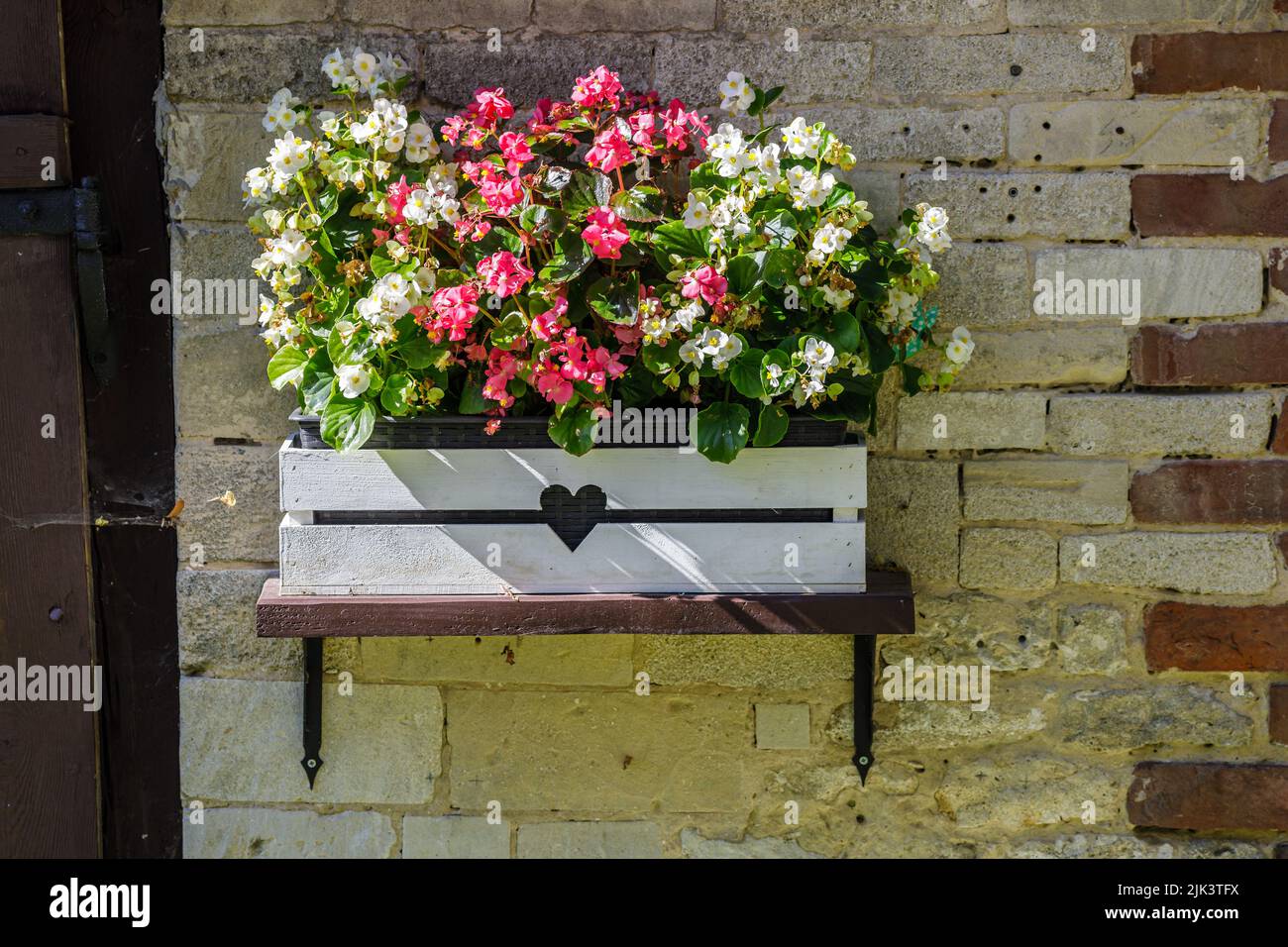 Decorative flower pot on a stone wall Stock Photo