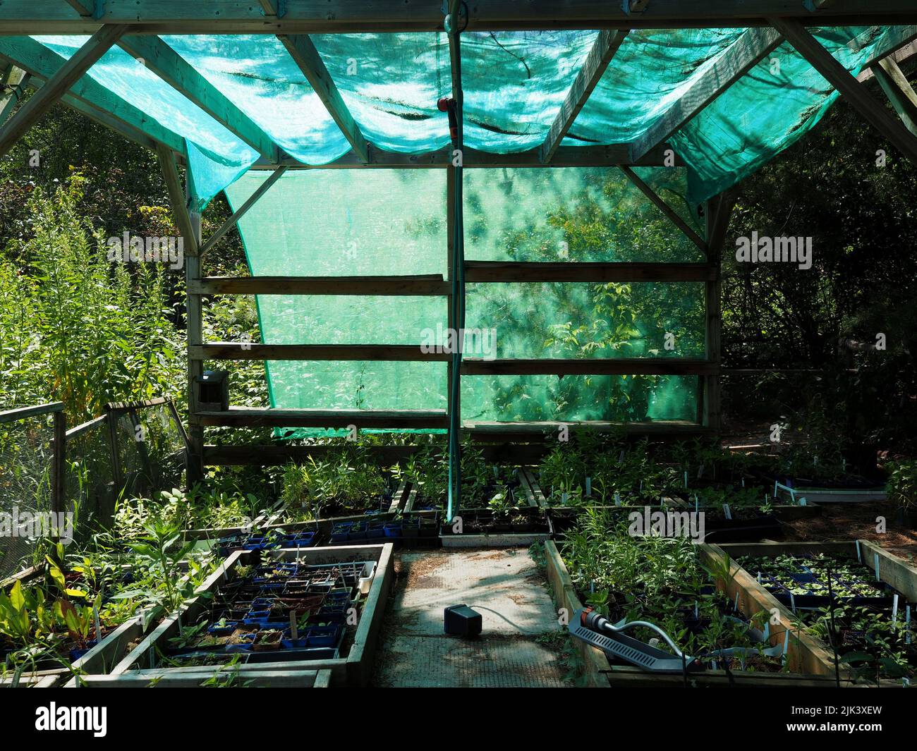 Covered in green netting and looking like it's underwater, the nursery shed at the local wildlife garden in Ottawa, Ontario, Canada. Stock Photo