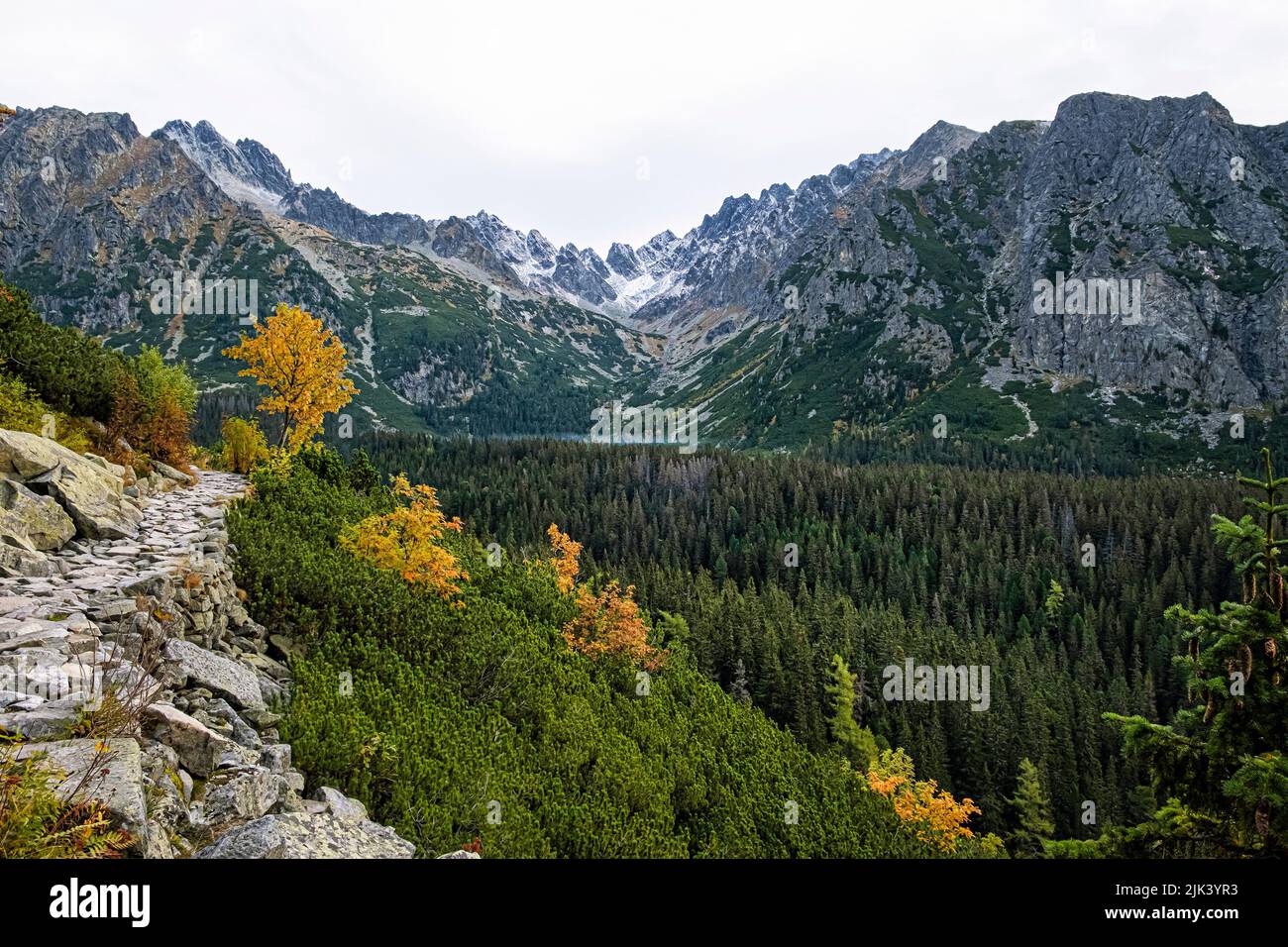 Autumn scene in Mengusovska valley, High Tatras mountains, Slovak republic. Hiking theme. Stock Photo