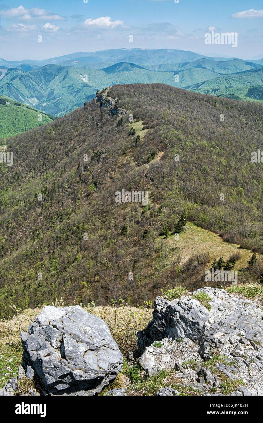 Hills with deciduous forest from Klak hill, Slovak republic. Landscape scene. Stock Photo