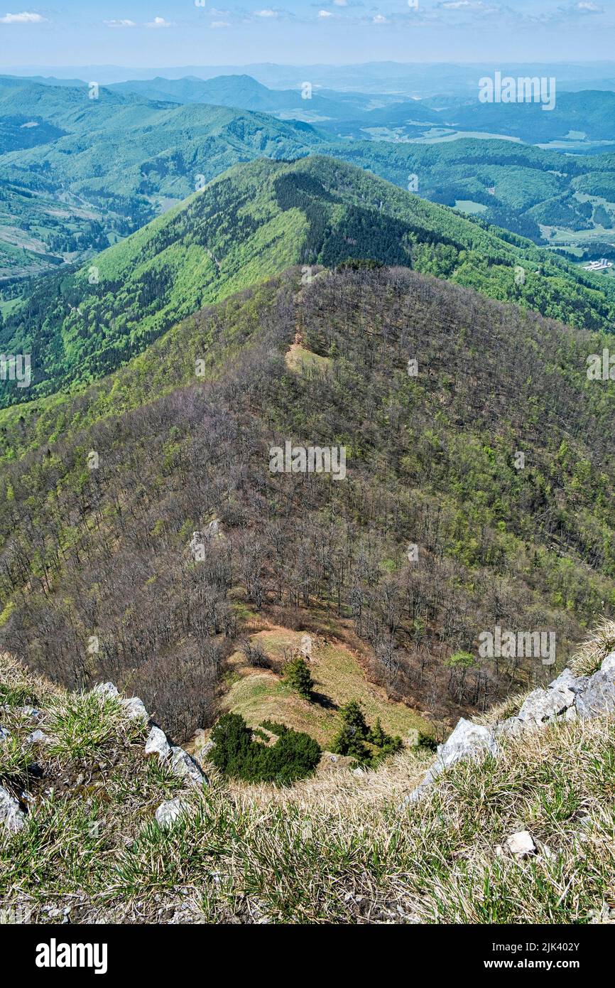 Hills with deciduous forest from Klak hill, Slovak republic. Landscape scene. Stock Photo