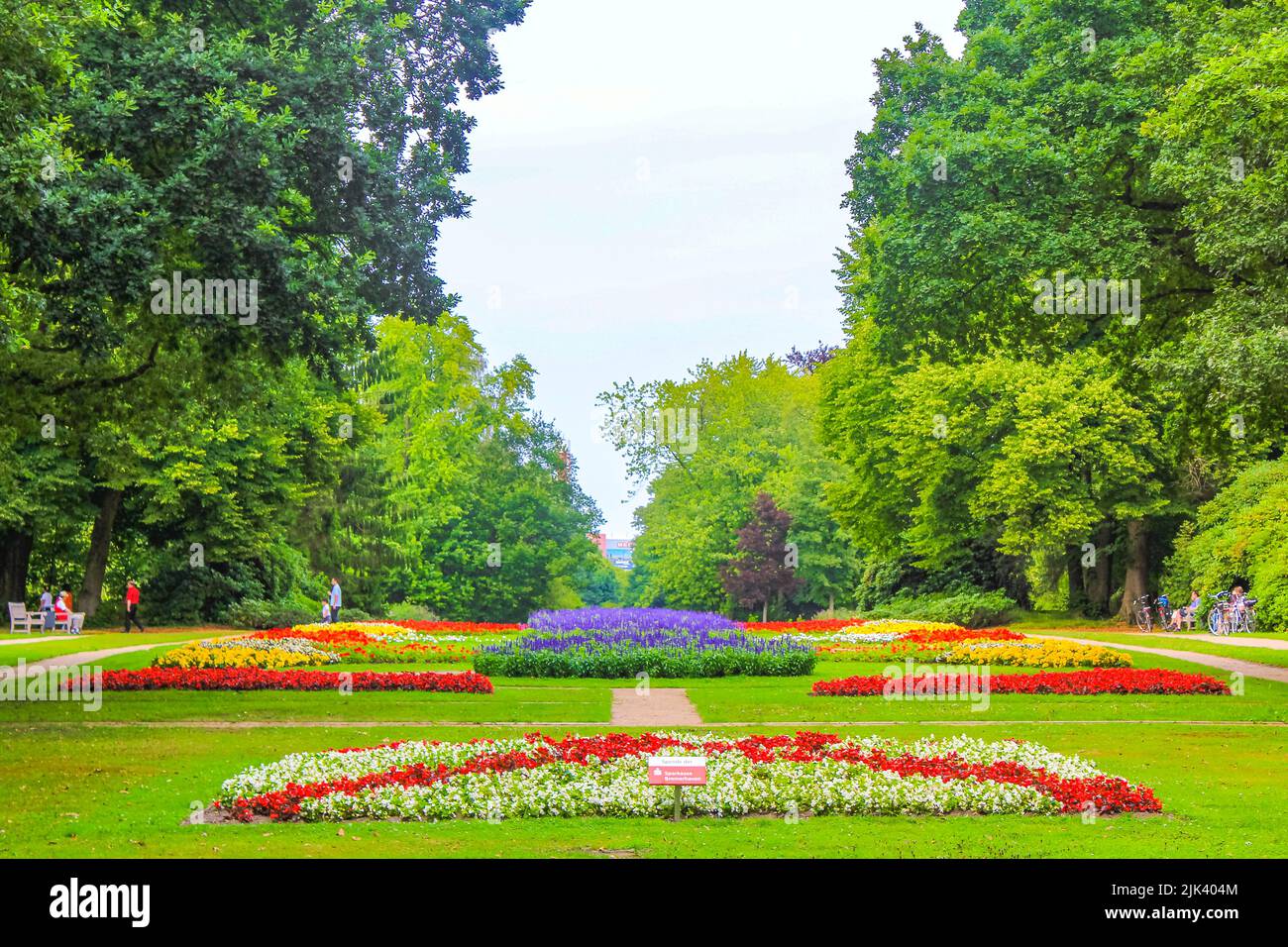 Natural beautiful panorama view with pathway colorful flowers and green