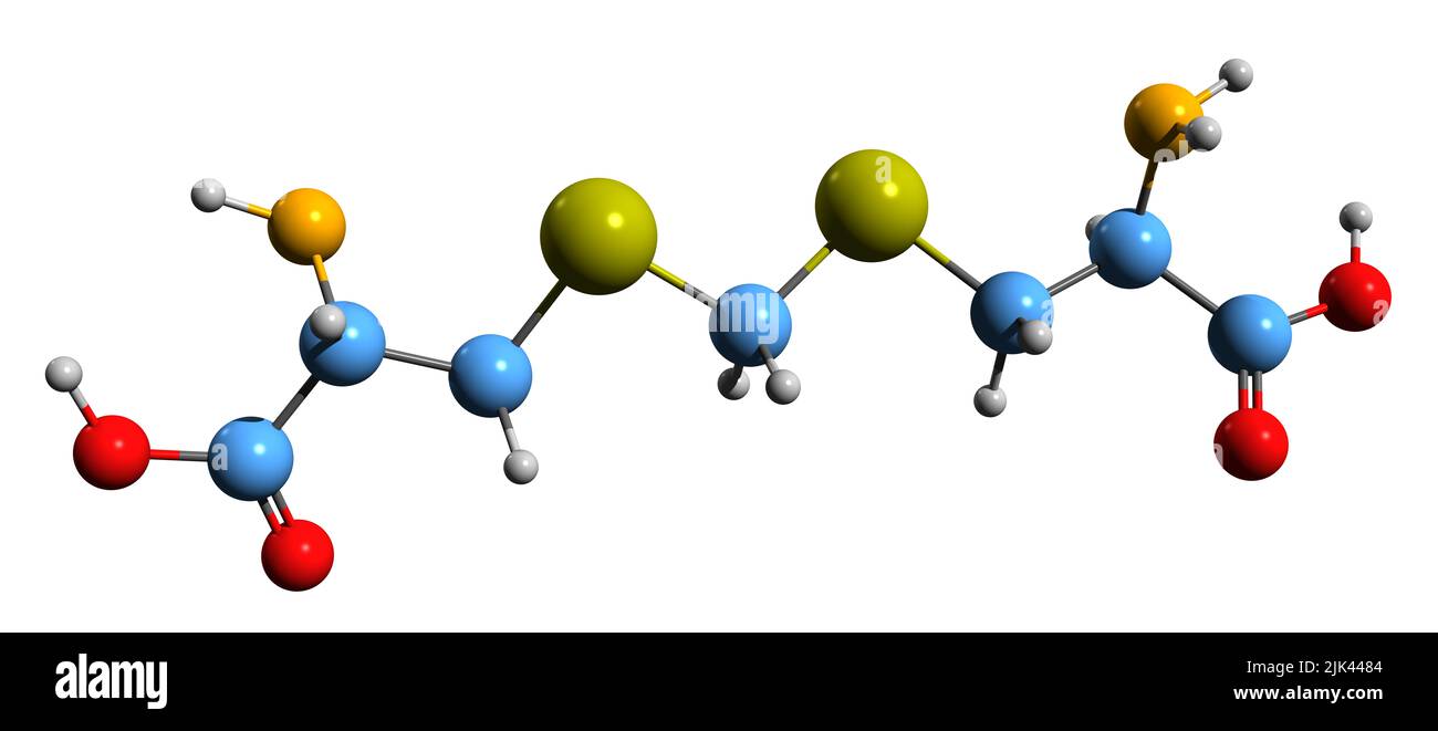 3D image of Djenkolic acid skeletal formula - molecular chemical structure of jengkolic acid isolated on white background Stock Photo