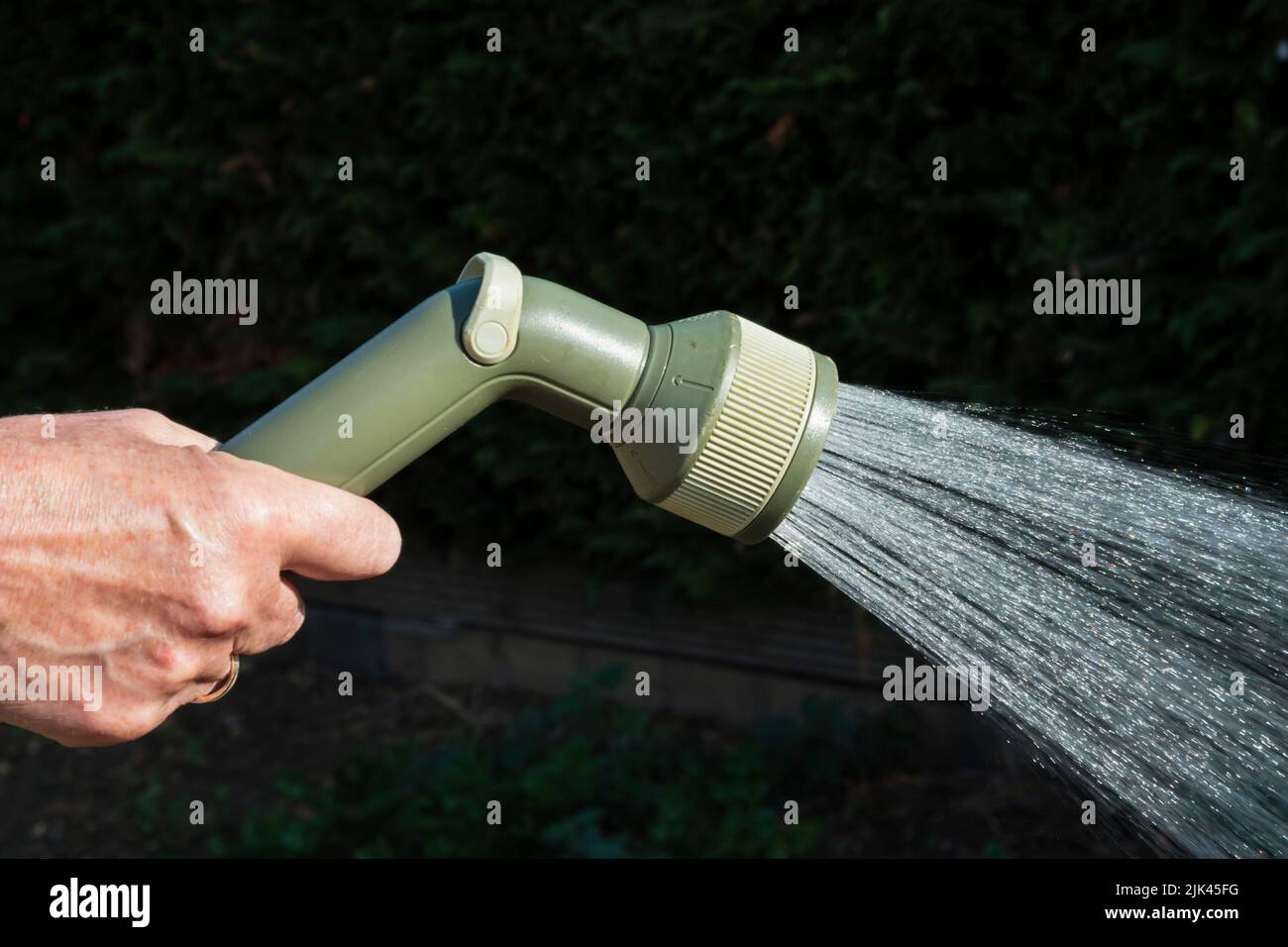 Woman using a hosepipe to water her vegetable garden. Stock Photo