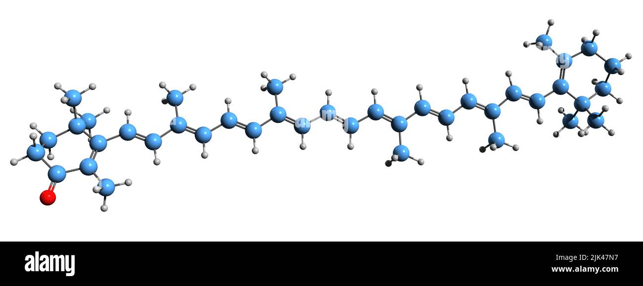 3D image of Echinenone skeletal formula - molecular chemical structure of  xanthophyll isolated on white background Stock Photo