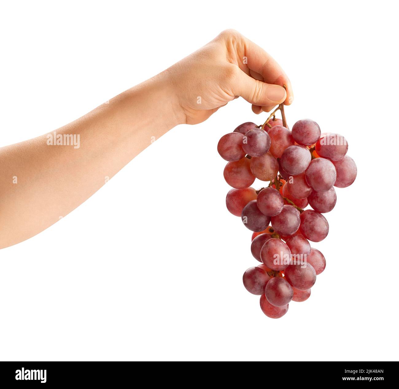 red grape in hand path isolated on white Stock Photo