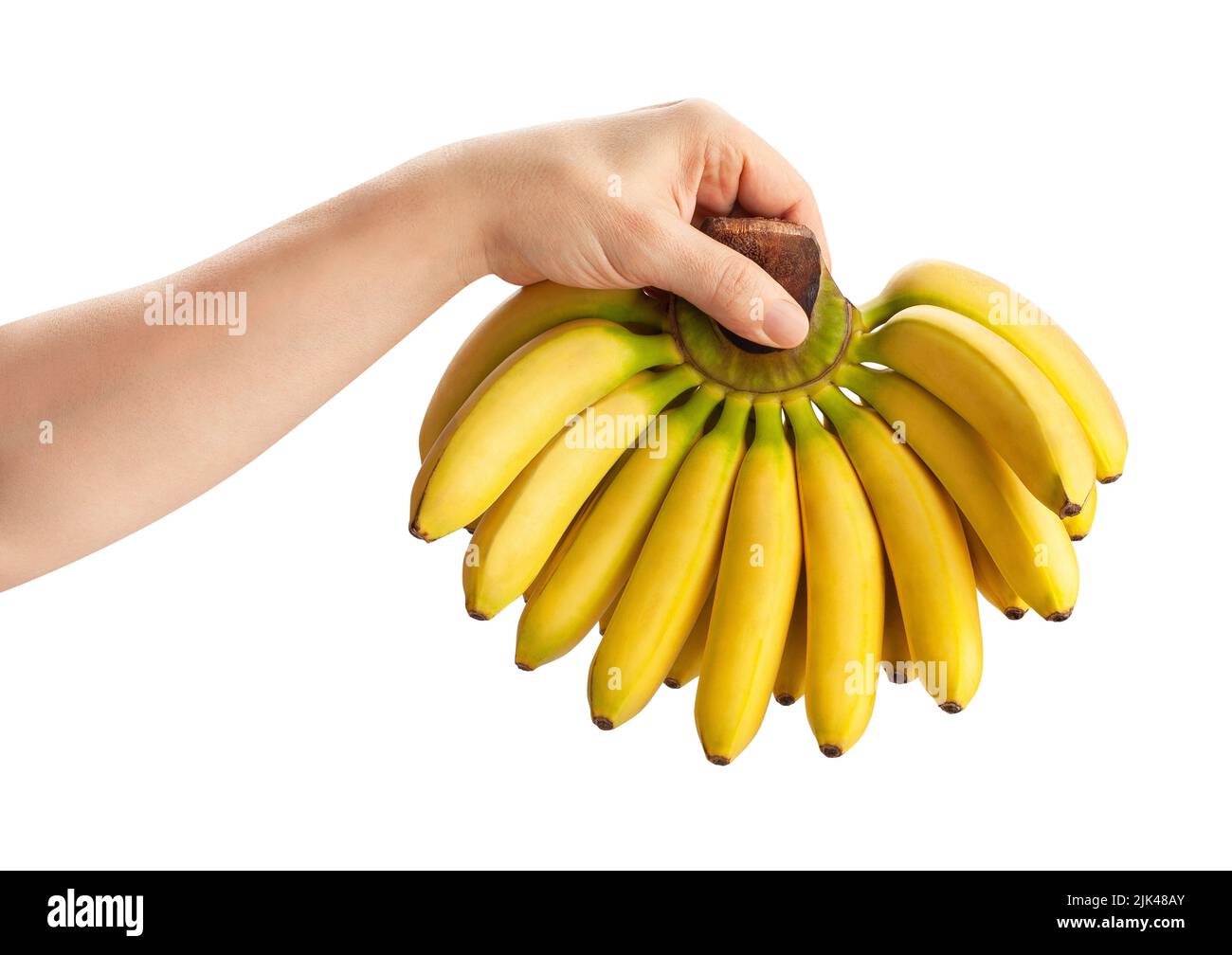 baby banana in hand path isolated on white Stock Photo
