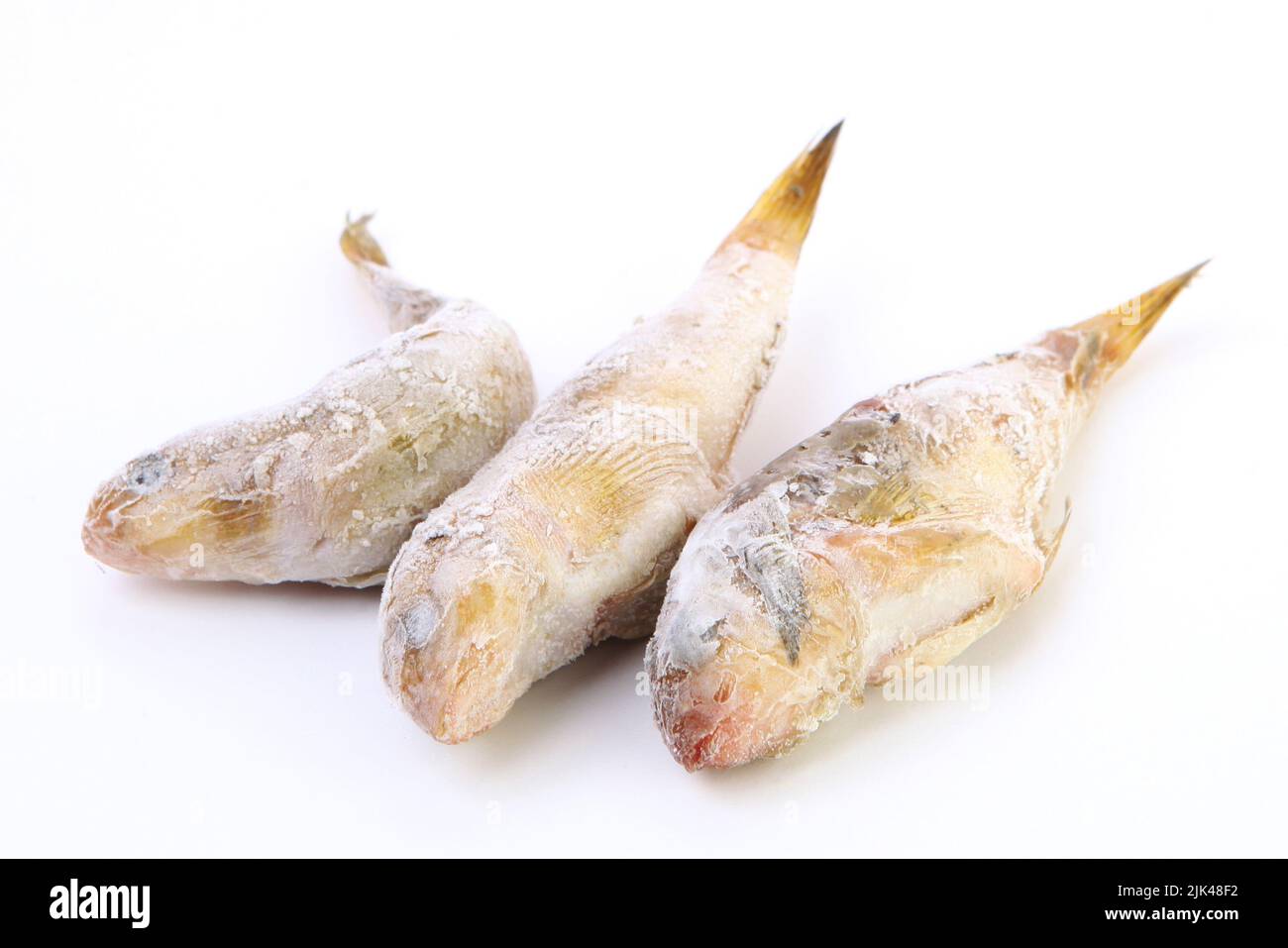 Fresh-frozen goby fish. Black Sea goby with ice on the surface. Fresh fish in frost. isolated. Stock Photo