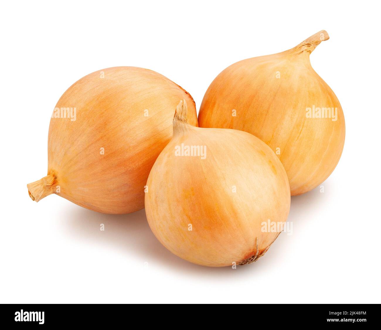 onions path isolated on white Stock Photo