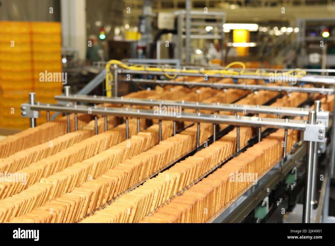 Large biscuit factory. A line of biscuits in a large factory. Packing