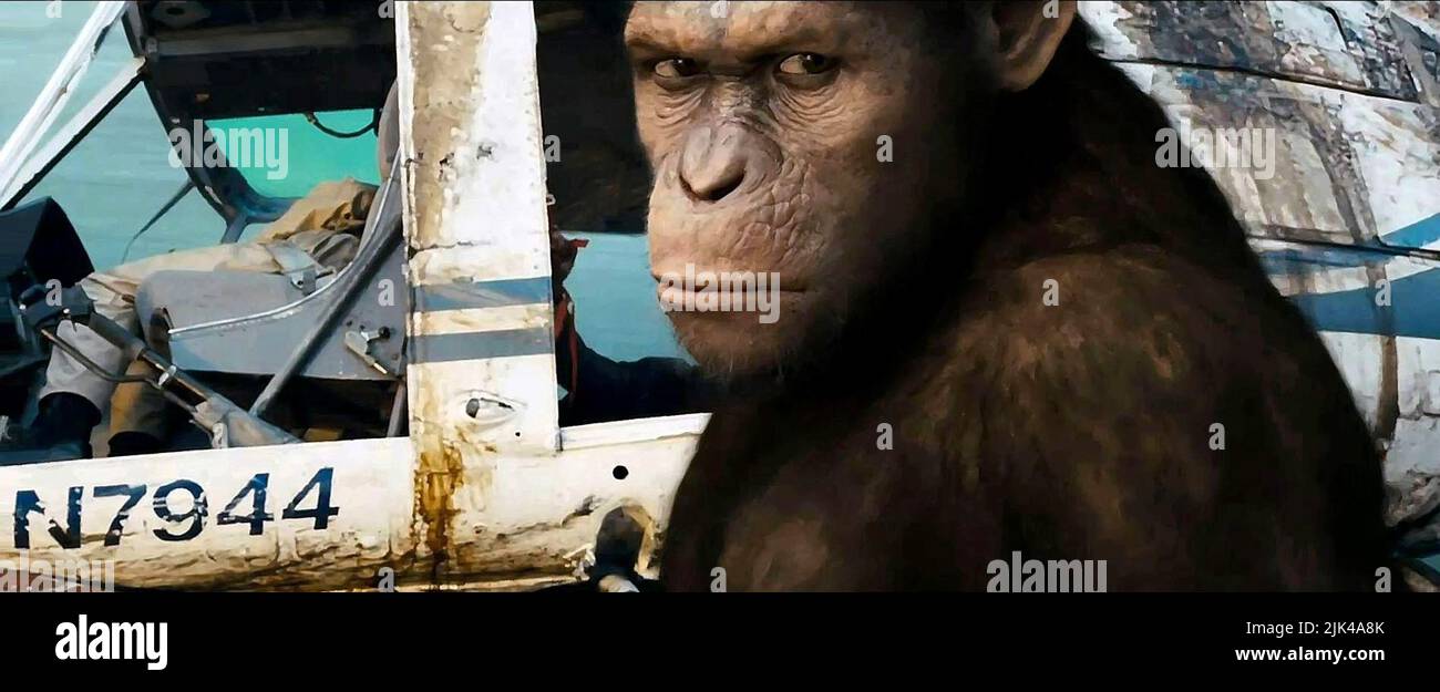 APE, RISE OF THE PLANET OF THE APES, 2011 Stock Photo