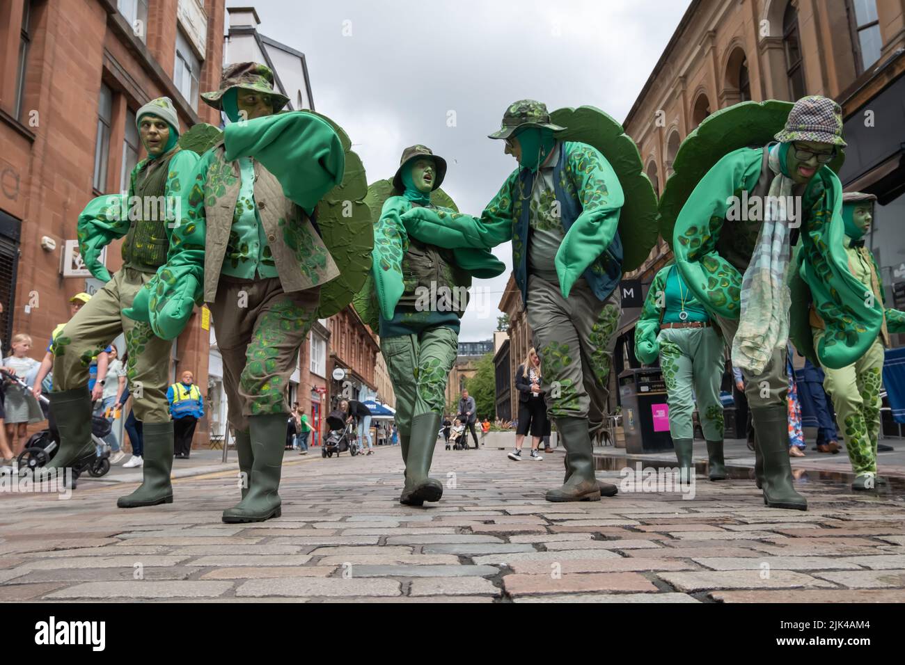 The Turtles Band Hi res Stock Photography And Images Alamy The turtles band hi res stock photography and images alamy