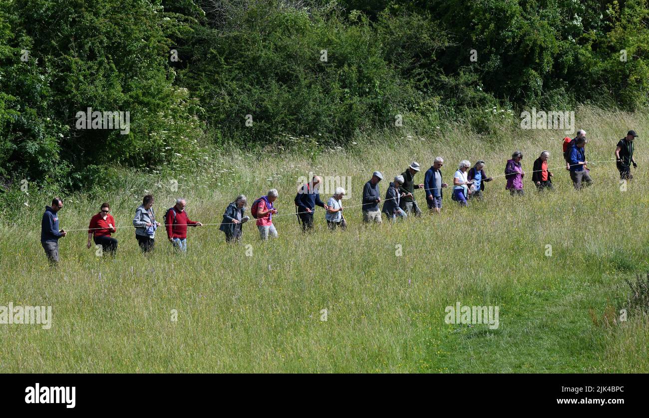 Lodge Field orchid count 2022 Stock Photo