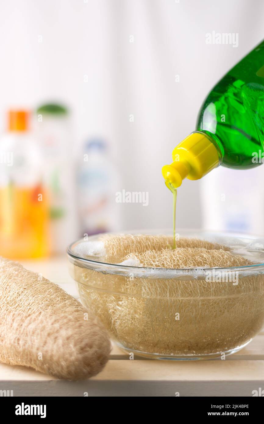 cleaning gourd luffa or loofah fruit or sponge gourd in a solution of water and detergent to get rid of fungal and bacteria before use, soft-focus Stock Photo