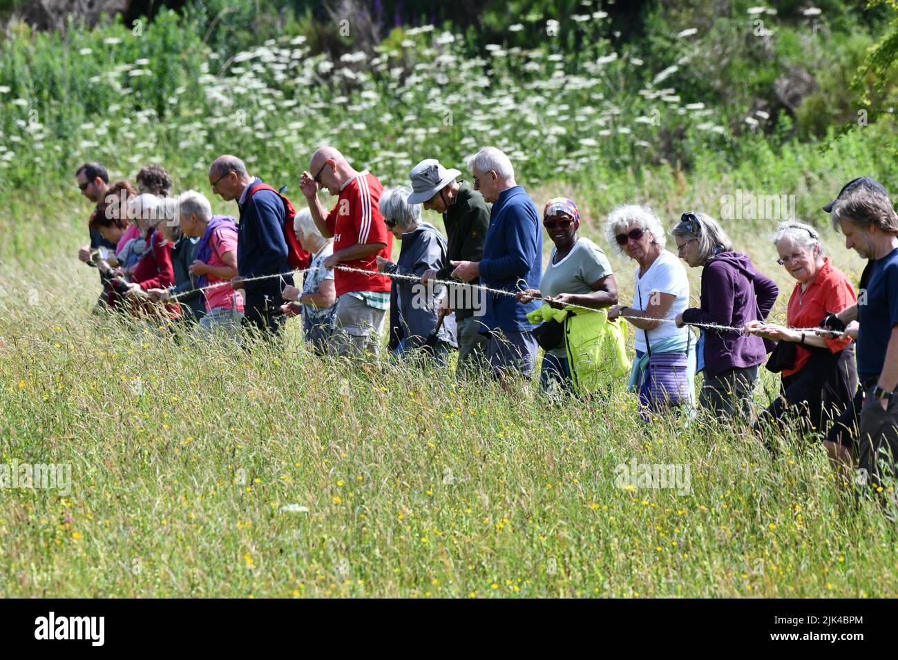 Lodge Field orchid count 2022 Stock Photo